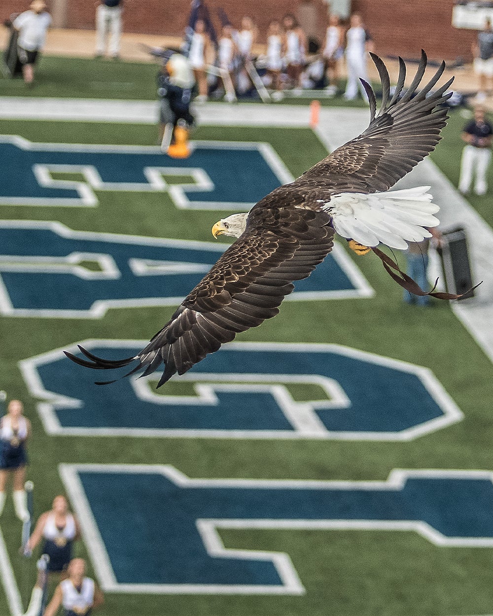 Georgia Southern University-